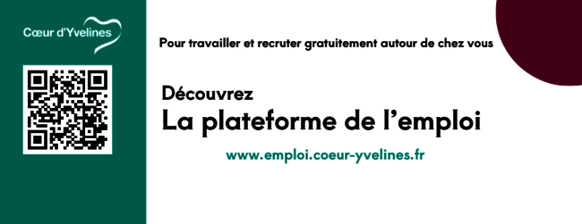 Mini flyer Plateforme de l'Emploi